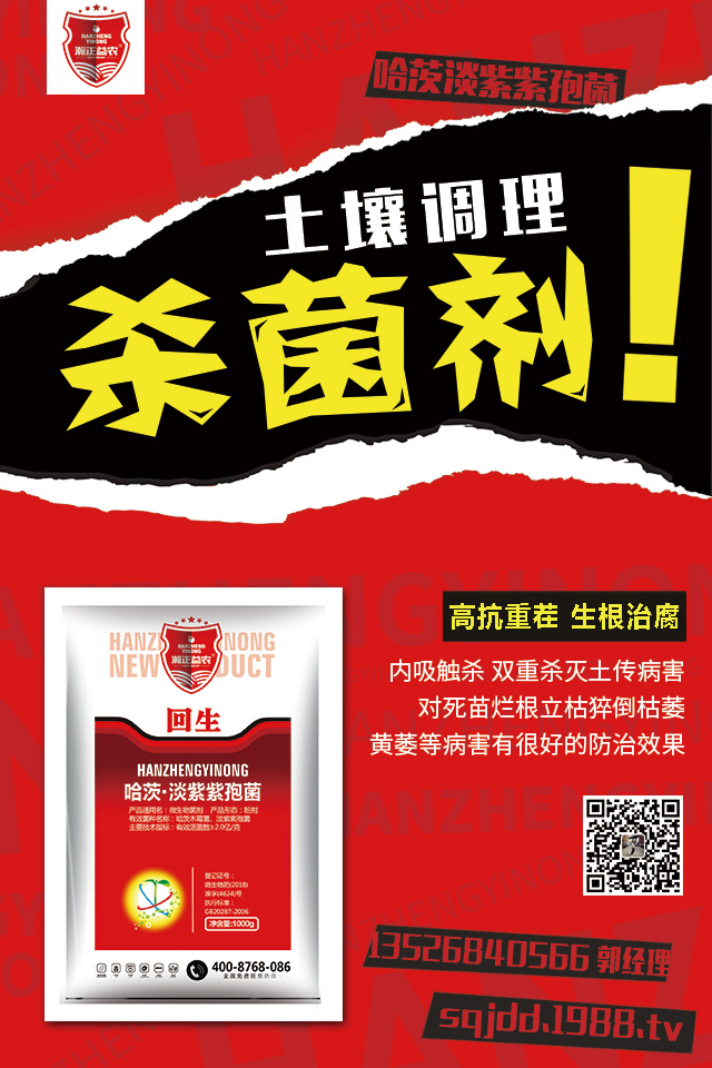 ��������������ô�k�����Ӽ޽ӿɱ�����������