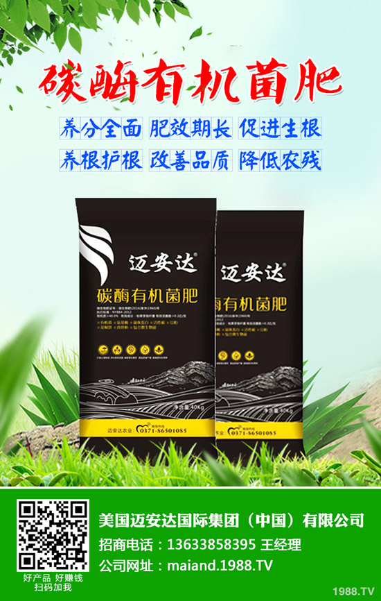 ����ʲô�r��N���������N��(y��ng)ע����Щ���}��