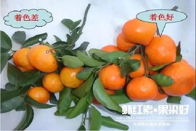 ��Ȼ����(sh��)��ɫ�����������r�t�ء��Ⱦ����