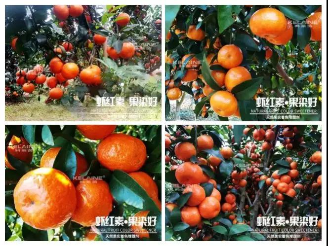 ��Ȼ����(sh��)��ɫ�����������r�t�ء��Ⱦ����