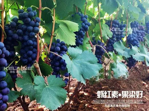 ��Ȼ����(sh��)��ɫ�����������r�t�ء��Ⱦ����