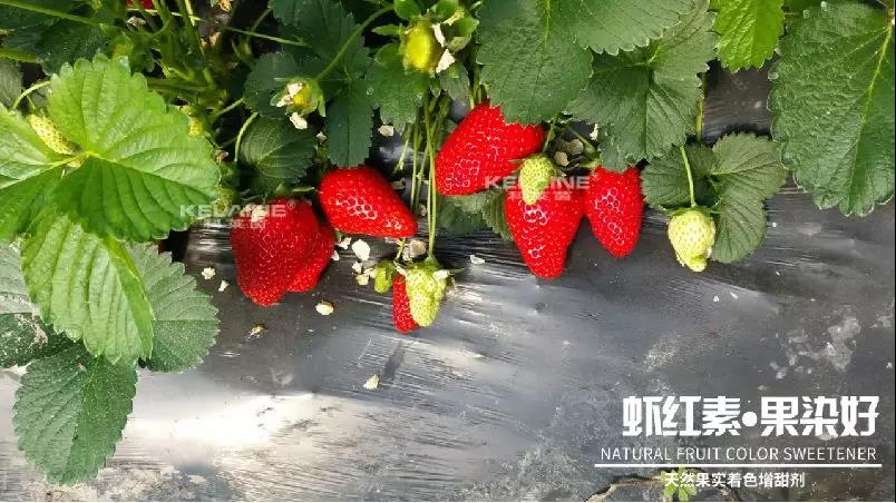 ��Ȼ����(sh��)��ɫ�����������r�t�ء��Ⱦ����