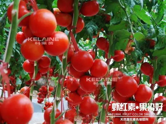 ��Ȼ����(sh��)��ɫ�����������r�t�ء��Ⱦ����