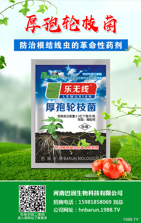 ��֦���~��ô�޼�����֦���~�޼�������