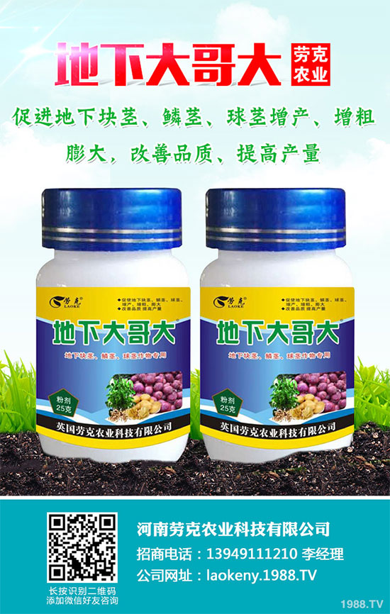 �������Щ�I�B(y��ng)�rֵ���Խ������Щ��̎����˵Ĺ�Ч�c����