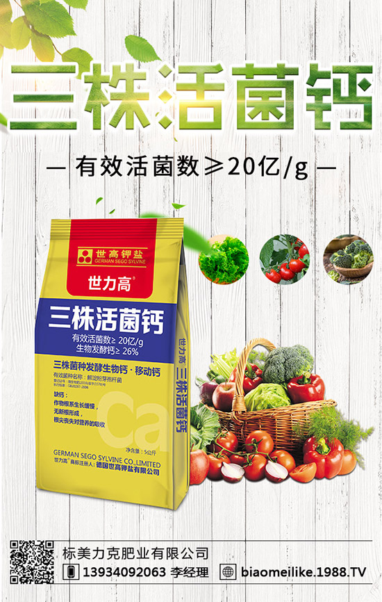 秋黃瓜什么時候栽培好，秋黃瓜栽培的注意事項！