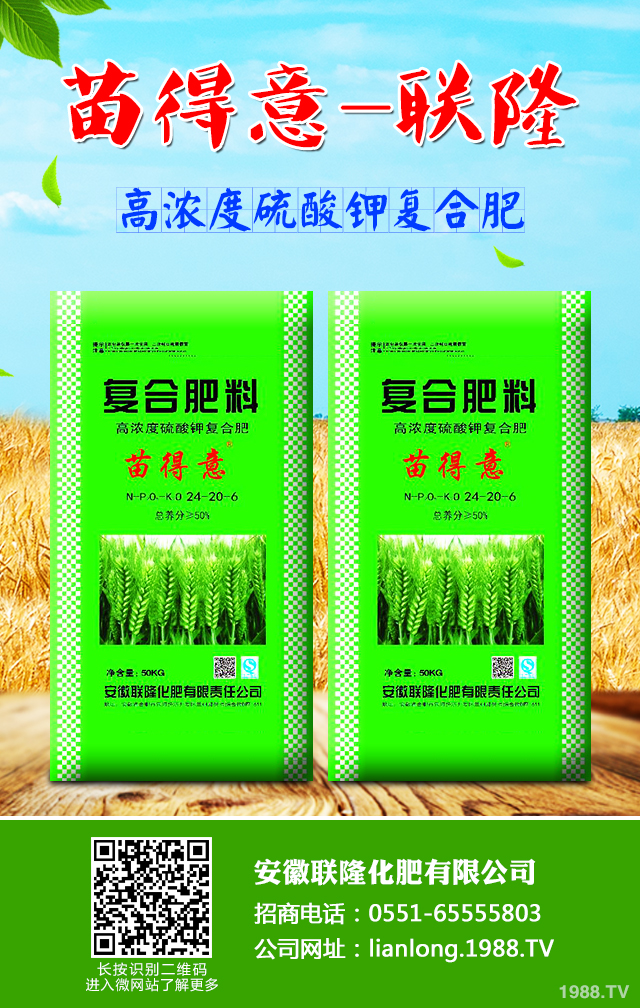 С����ô����Ч���ã�С�����������g����