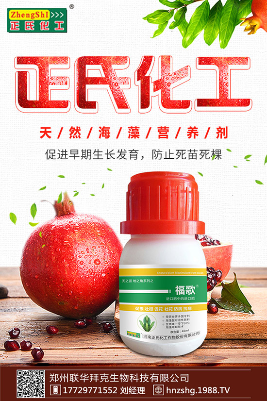 ���y����ʲô���ã����y���Ĺ�Ч�cʳ�ý�����