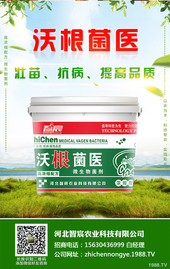 �Ծ��Ĳ�����Щ��̎�����Ĳ˵Ĺ�Ч��������