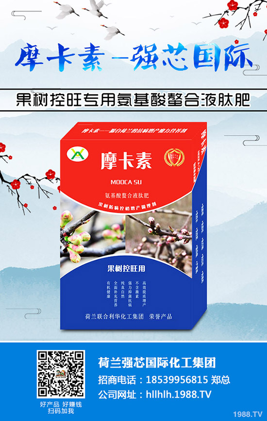 ����������Щ��̎�����ѵĠI(y��ng)�B(y��ng)�r(ji��)ֵ����Ч��