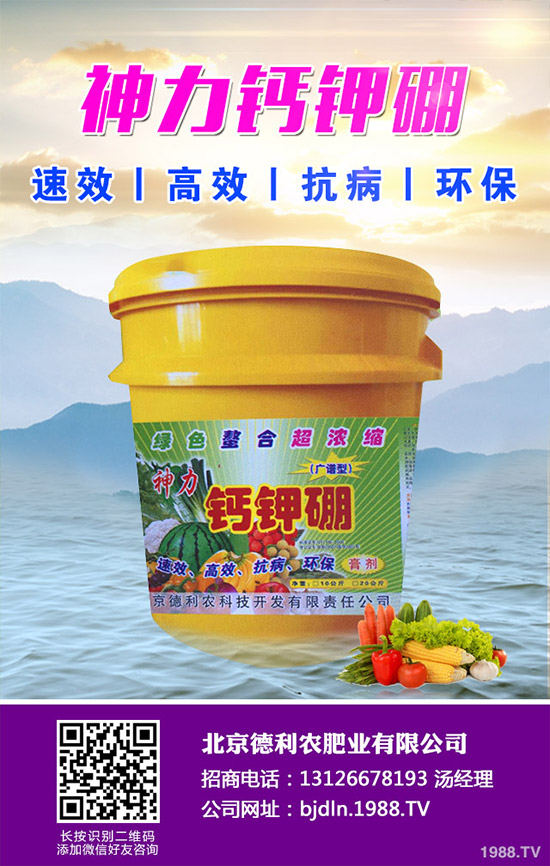 茄子怎么播種？茄子的高產種植方法！