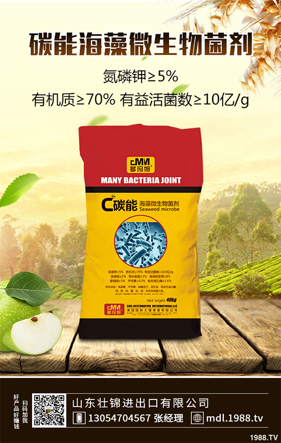 ���[�ϰ߲�����ЩΣ�������������������[�ϰ߲��ķ��δ�ʩ