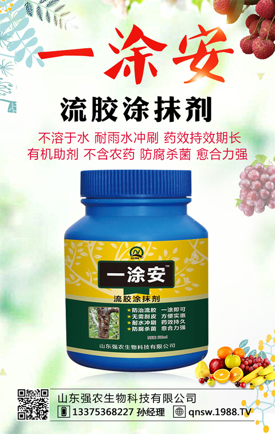 ܛ��ʯ��Ʒ�N����Щ��ܛ��ʯ��ĸ߮a(ch��n)�Nֲ���g(sh��)