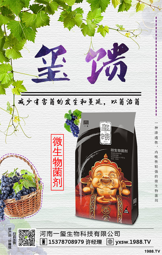     �������ӷNֲ�{ݮ���Nֲ�{ݮ��(y��ng)ԓע��ʲô��