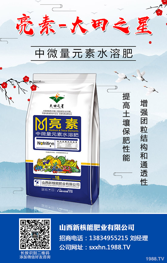 �＾�߲�����������＾���õ������С���������g(sh��)��