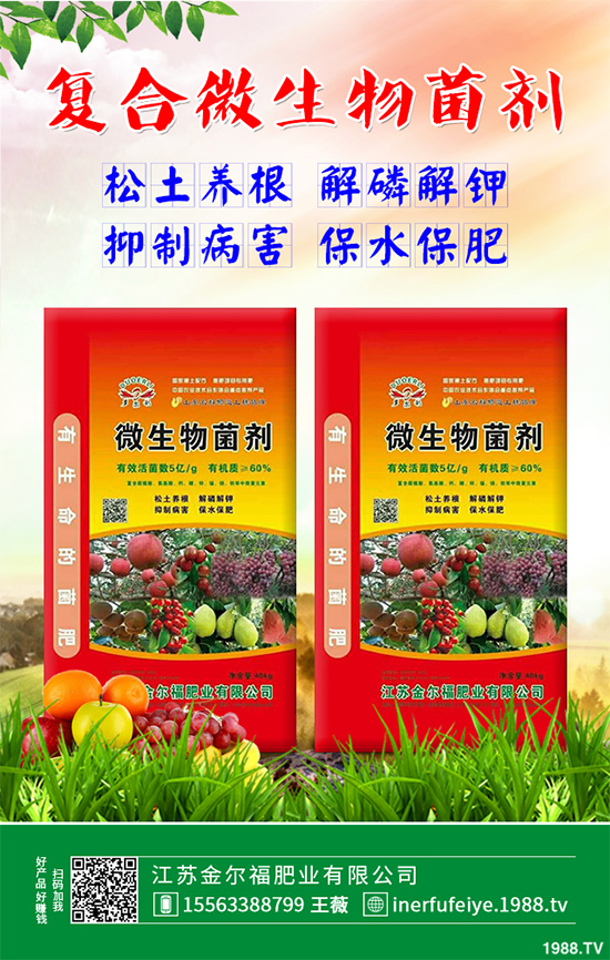 �㶹ʲô�r(sh��)��Nֲ��ԓ��ô�N���㶹�Nֲ�r(sh��)�g���Nֲ���g(sh��)Ҫ�c(di��n)