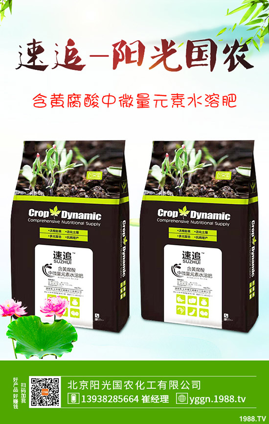     ��(gu��)�c������������@�r(ji��)���Ƿ�Ӱ푣����¶��@�������2019-9-241-(238)