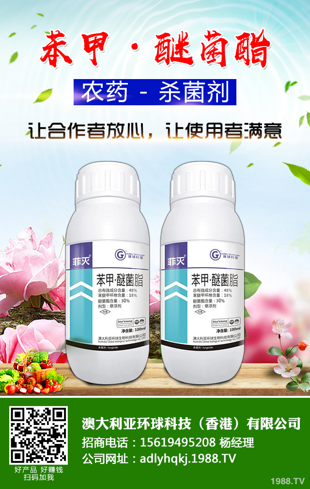 大棚黃瓜疫病怎么辦？大棚黃瓜疫病防治技巧