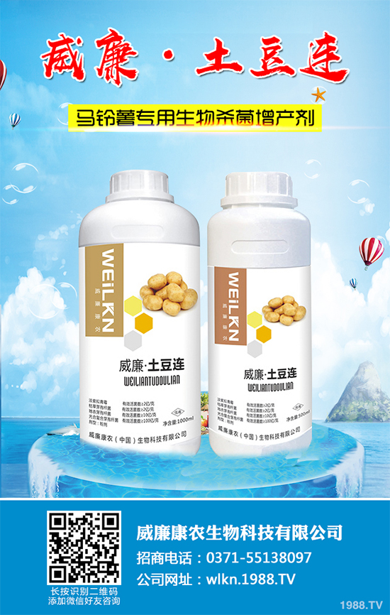 �㶹����������ЩΣ�����F(xi��n)��ԓ���ӷ������㶹���������η���