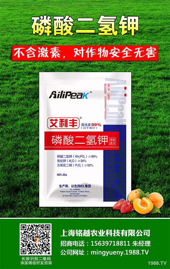 �㶹����������ЩΣ�����F(xi��n)��ԓ���ӷ��Σ��㶹���������η���