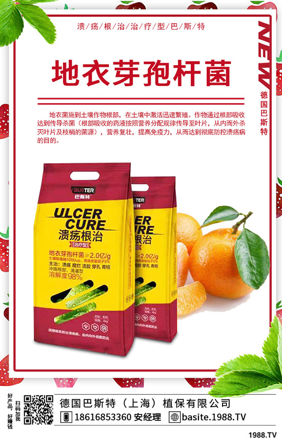 �t��̦��ô�N���t��̦�ķNֲ�r�g���Nֲ������