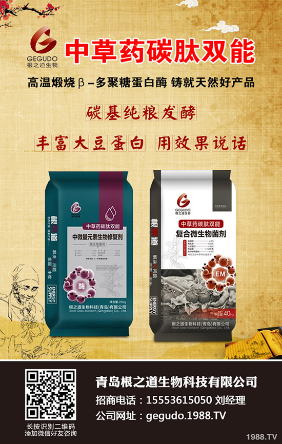     ����ʮ����ʲô����ע�����(xi��ng)�����ӹ���������10�¹���ָ��(d��o)���h��