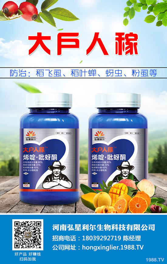 ���[�Nֲ��Ҫ��ô���������[�Nֲ�������g(sh��)Ҫ�c(di��n)��