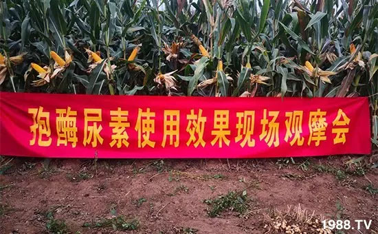 �ٿ���С�����a(ch��n)1471�����pø����ȫ�����������߮a(ch��n)������(d��ng)֮�o����