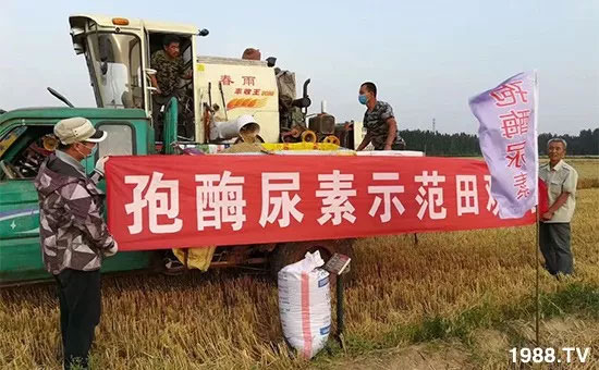 �ٿ���С�����a(ch��n)1471�����pø����ȫ�����������߮a(ch��n)������(d��ng)֮�o����