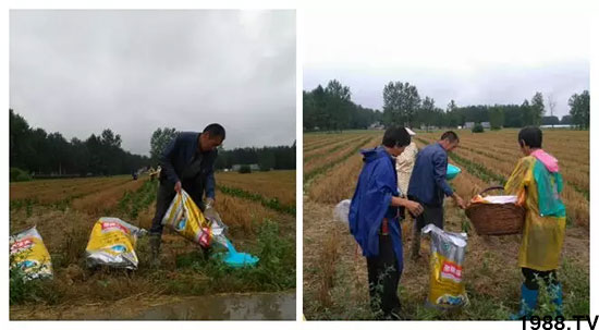 �ٿ���С�����a(ch��n)1471�����pø����ȫ�����������߮a(ch��n)������(d��ng)֮�o����