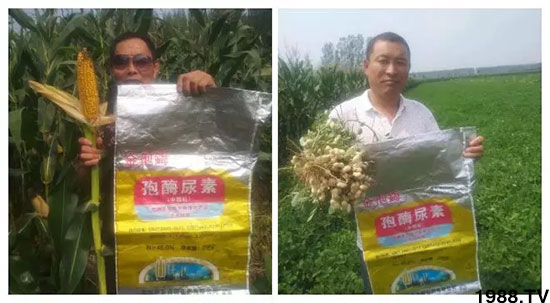 �ٿ���С�����a(ch��n)1471�����pø����ȫ�����������߮a(ch��n)������(d��ng)֮�o����