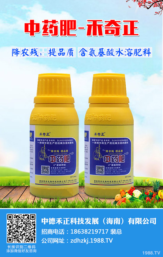 ��z�������������z�ϷNֲС������