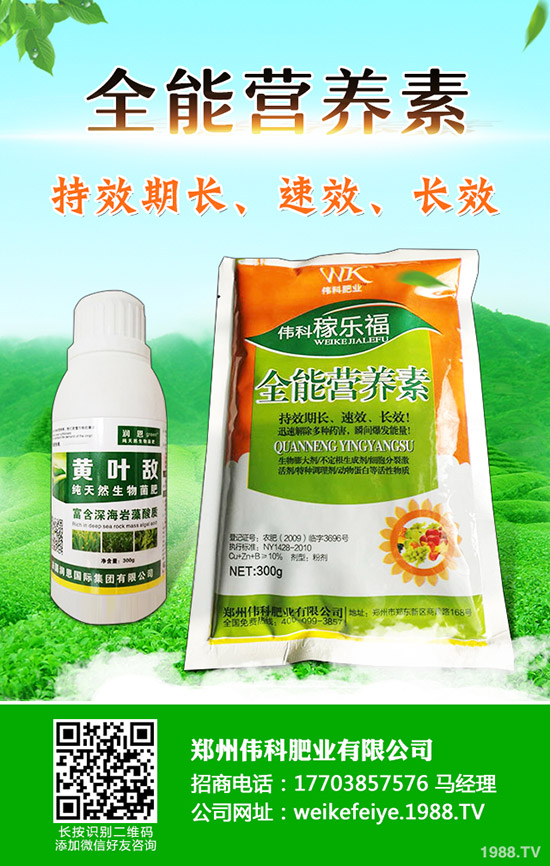 柿子樹怎么嫁接,柿子樹嫁接時間和方法!