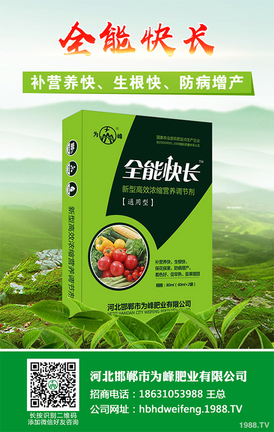 ����������Щ��̎������Ĺ�Ч���ü�ʳ�ý���