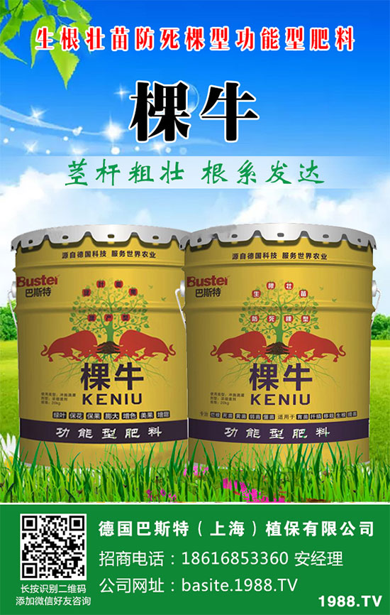 ���[���ʩ�������[�ƌW������ʩ�ʷ�����