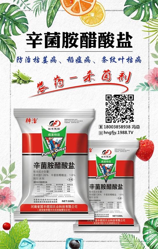 ���(sh��)�������r(ji��)��