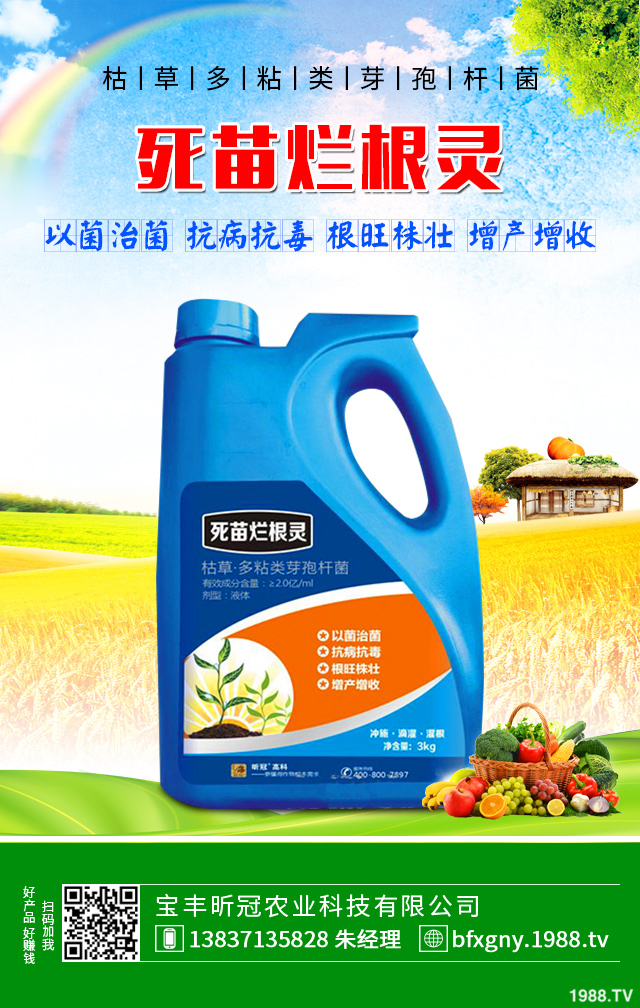 �۲˺��ĸ�����ô�������۲˺��ĸ���Ҫ���Y����