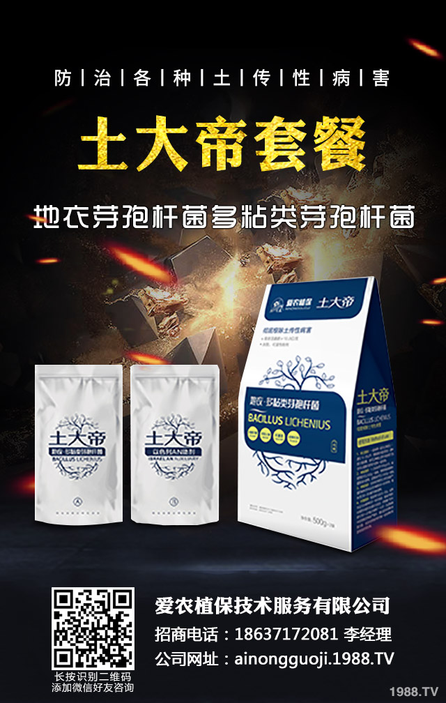 �ﲥС����ô����|(zh��)�����ﲥС������|(zh��)����Ҫ�c(di��n)