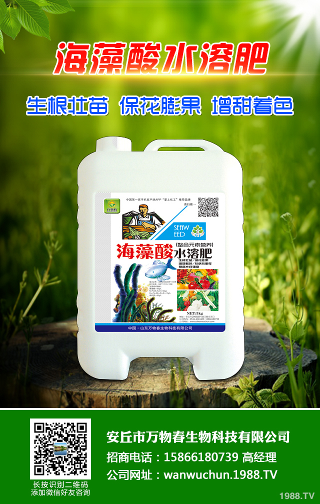 �ﲥС����ô����|(zh��)�����ﲥС������|(zh��)����Ҫ�c(di��n)