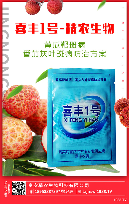 ���n������Щ��̎����Ҋ�n�ĵ�����