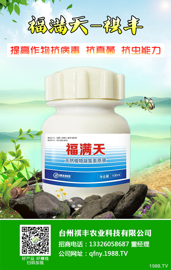 ���n������Щ��̎����Ҋ�n�ĵ�����