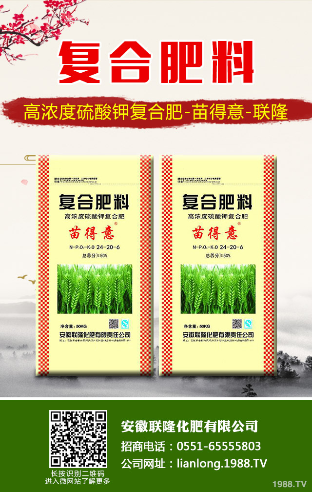 �K�F�~�S�݆��}��ô��Q���K�F�~�S�ݽ�Q����