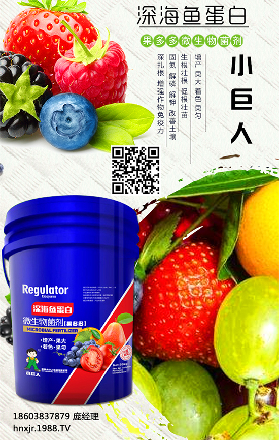 �t����ô�Nֲ���t���Nֲ�ĸ߮a(ch��n)����Ҫ�c(di��n) 