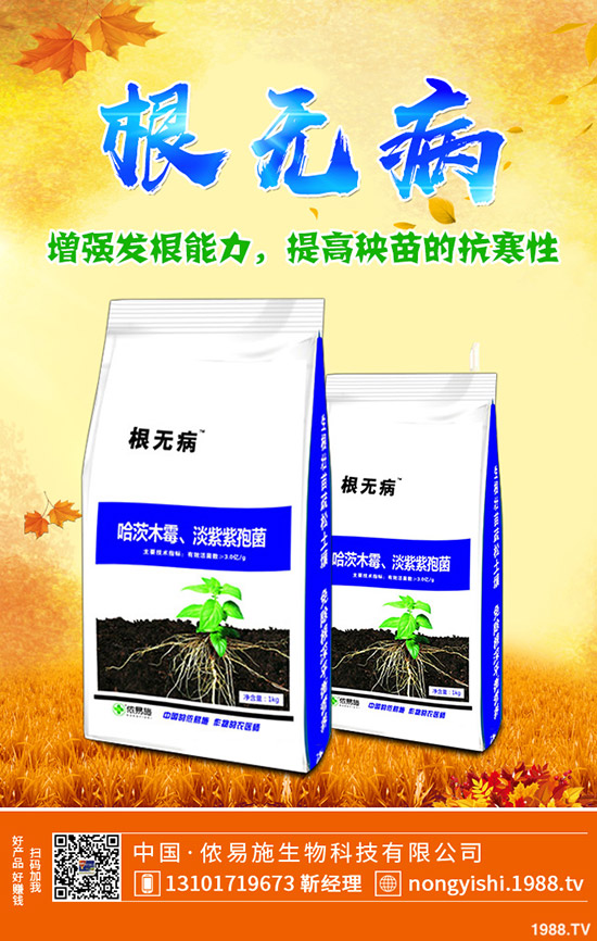     ��������[�����[�Nֲٍ�X�᣿��Ҋ�{(di��o)ζ���߲˷Nֲ����������