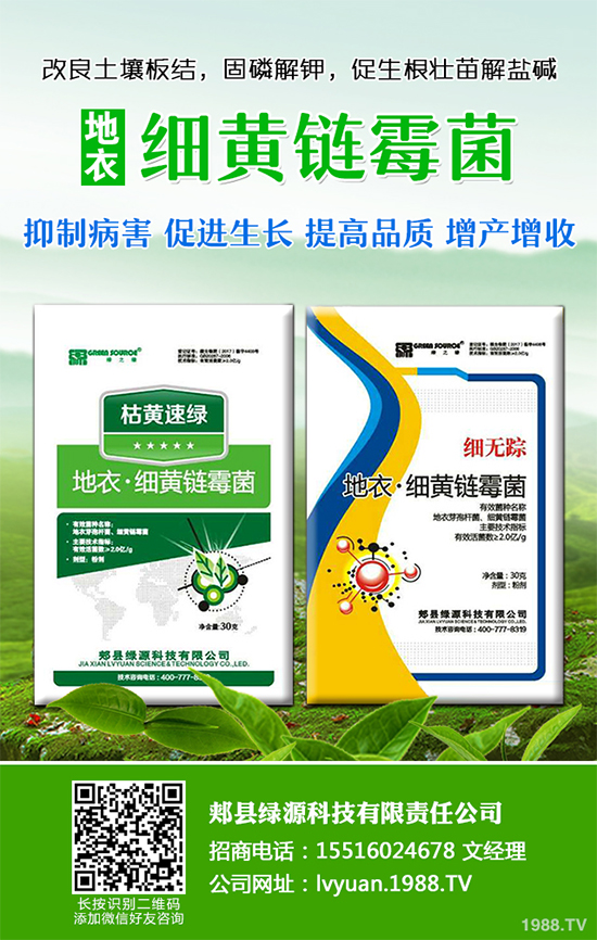 ���·Nʲô�߲˱��^�ã�2019��9���߲˷Nֲָ��