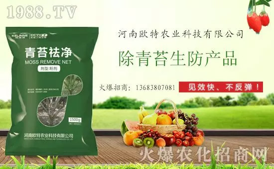 �������̦���������������Ƀ�����̦�o(w��)ۙ��