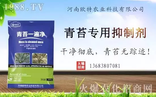 �������̦���������������Ƀ�����̦�o(w��)ۙ��