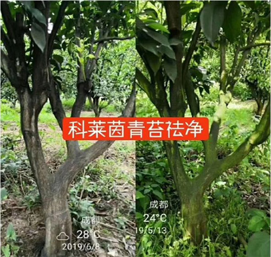 �������̦���������������Ƀ�����̦�o(w��)ۙ��