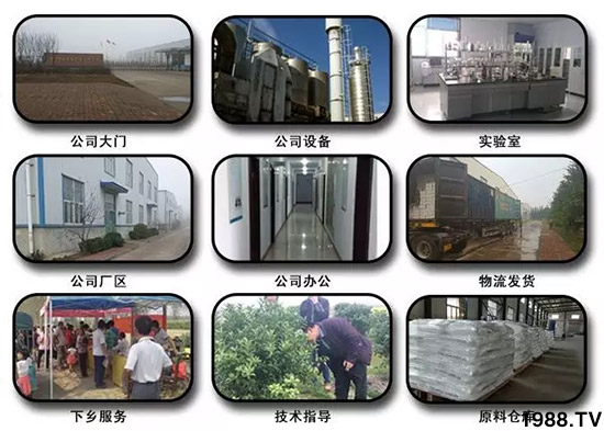 �������̦���������������Ƀ�����̦�o(w��)ۙ��