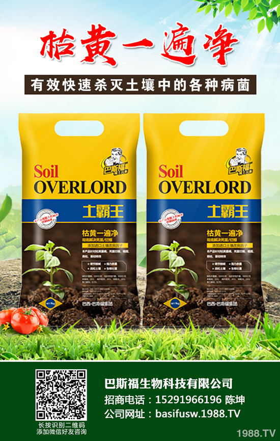 ���Sԓ��ηNֲ�����S�ĸ�Ч���༼�g(sh��)����Щ��